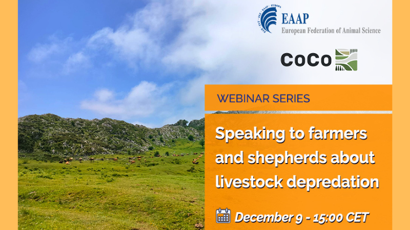 Progetto senza titolo (55)