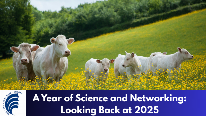 A Year of Science and Networking Looking Back at 2025