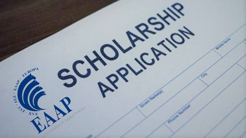 Progetto senza titolo (6)