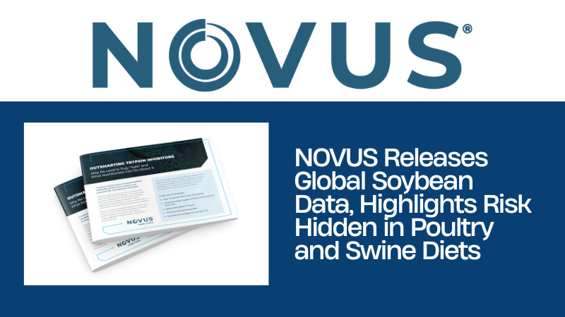 NOVUS Releases Global Soybean Data, Highlights Risk Hidden in Poultry and Swine Diets
