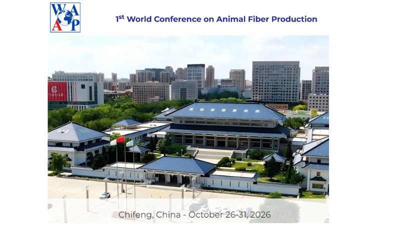 Progetto senza titolo (28)